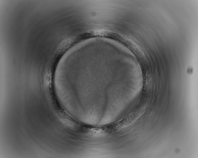 X0000101970502200808151341