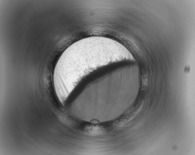 X0000101970503200808151341