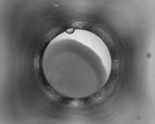 X0000101970504200808151341