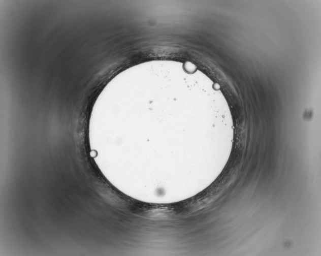 X0000101970505200808151341