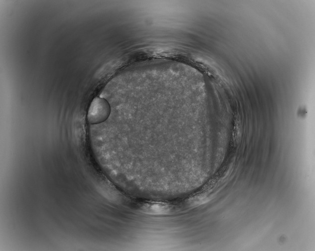 X0000101970506200808151341