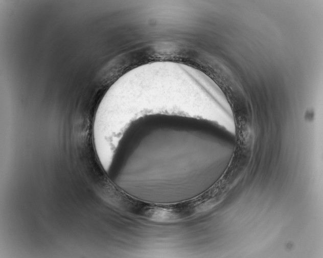 X0000101970507200808151341