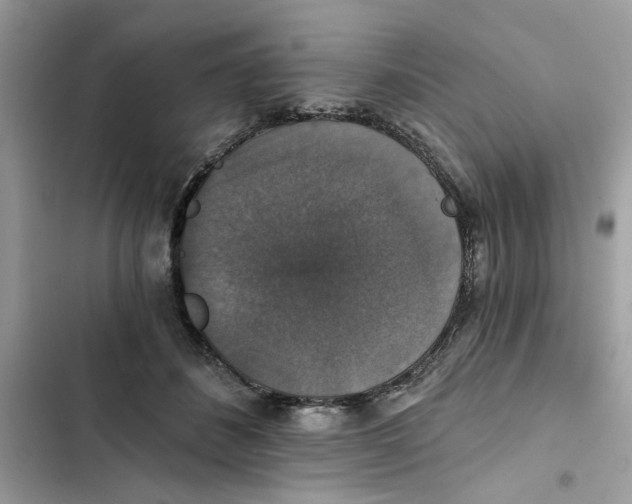X0000101970508200808151341