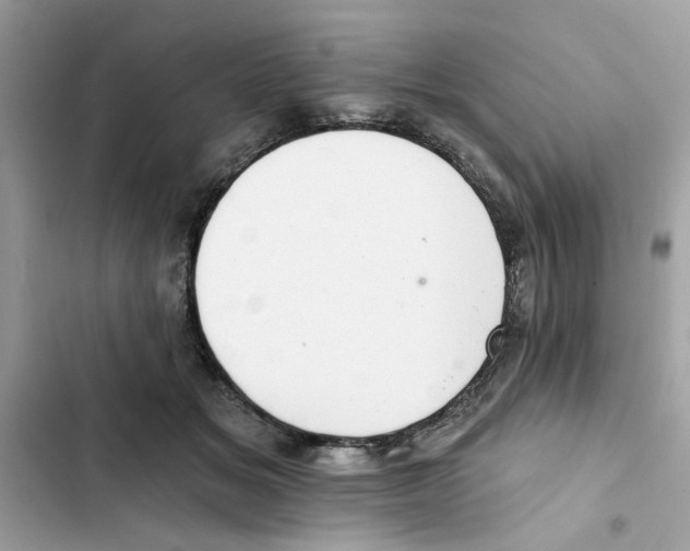 X0000101970509200808151341
