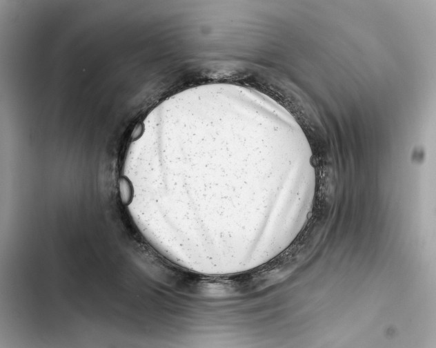 X0000101970510200808151341