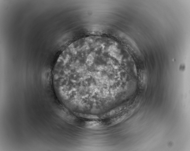 X0000101970511200808151341