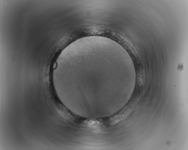 X0000101970512200808151341