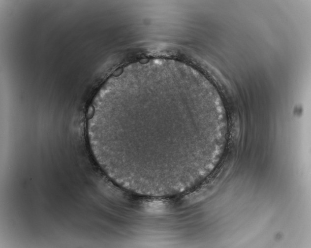 X0000101970513200808151341