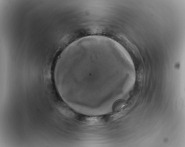X0000101970516200808151341