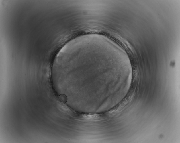 X0000101970517200808151341