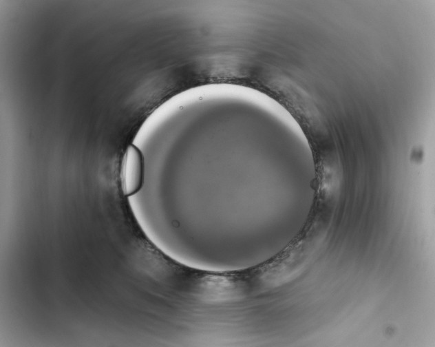 X0000101970519200808151341