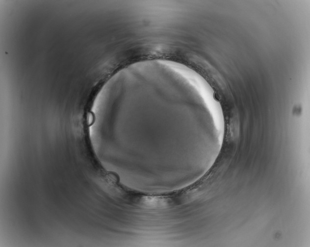 X0000101970520200808151341