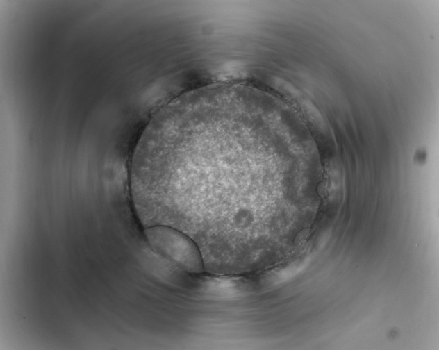 X0000101970523200808151341