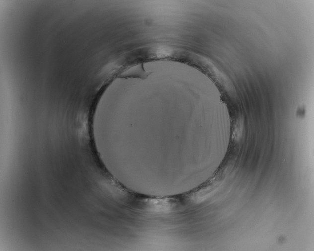 X0000101970524200808151341
