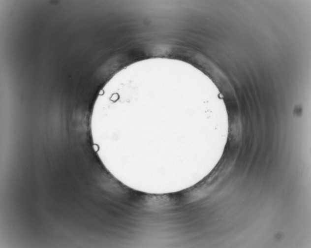 X0000101970525200808151341