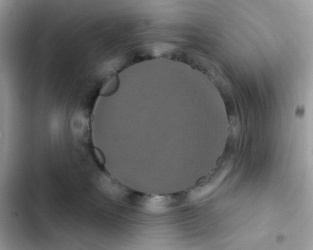 X0000101970527200808151341