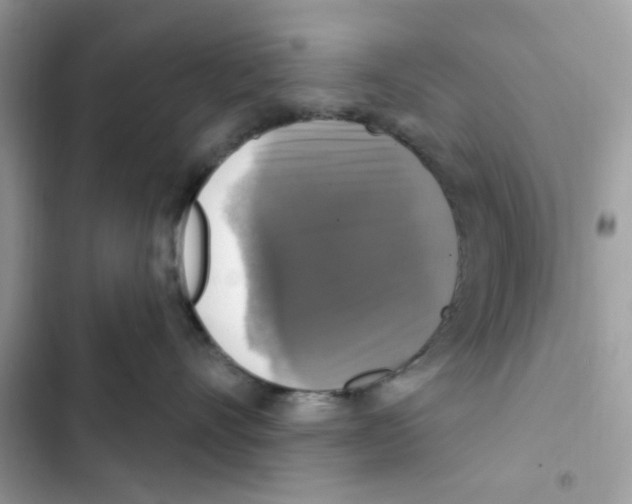 X0000101970528200808151341