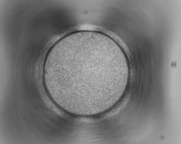 X0000101970529200808151340