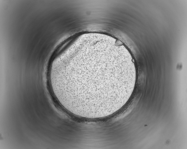 X0000101970530200808151340
