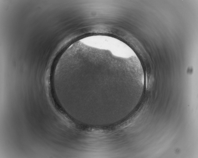 X0000101970531200808151340