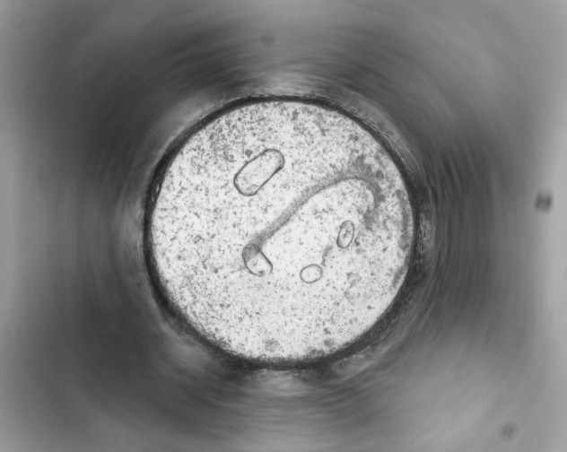 X0000101970534200808151340