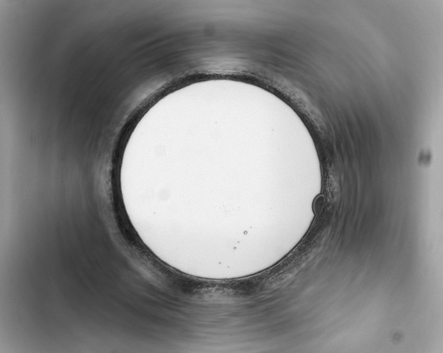 X0000101970535200808151340