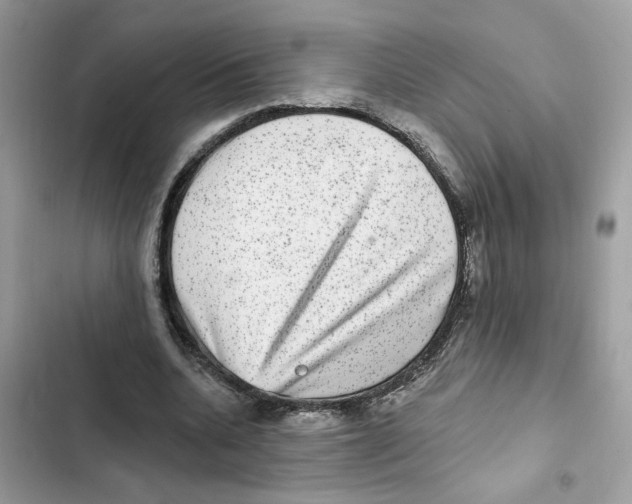 X0000101970536200808151340