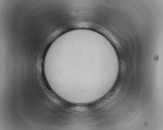 X0000101970537200808151340
