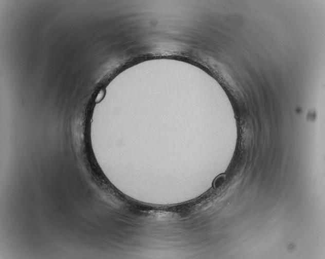 X0000101970539200808151340