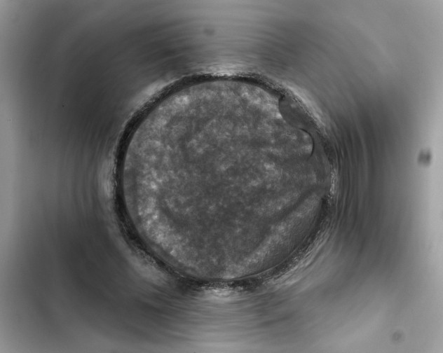 X0000101970540200808151340