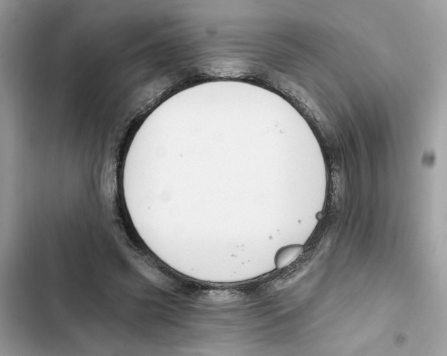 X0000101970541200808151340