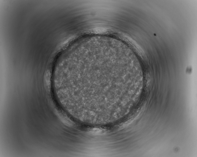 X0000101970542200808151340