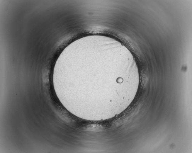 X0000101970543200808151340
