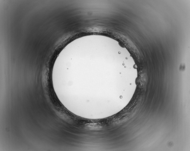 X0000101970544200808151340