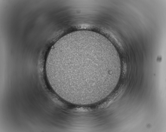 X0000101970545200808151340