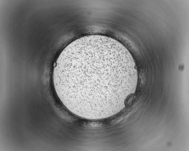 X0000101970546200808151340