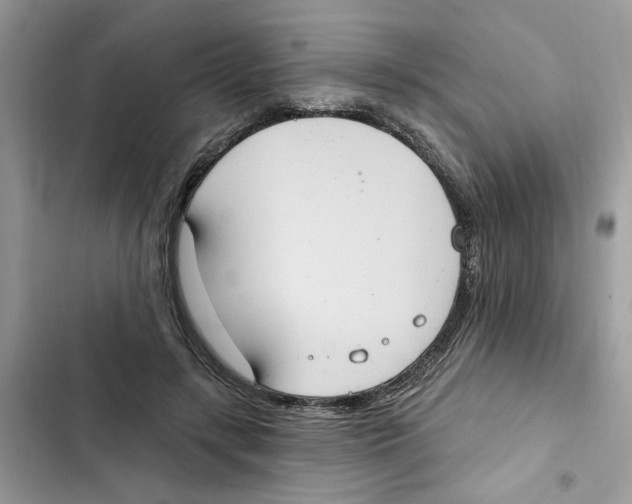 X0000101970547200808151340