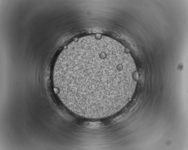 X0000101970548200808151340
