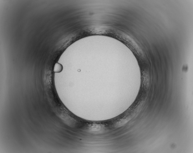 X0000101970549200808151340