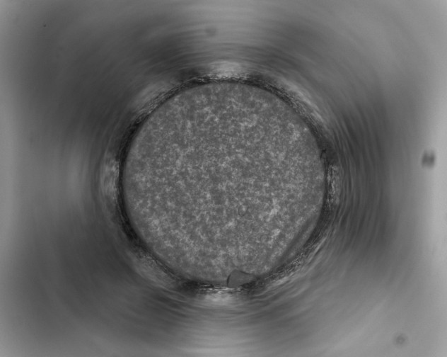 X0000101970550200808151340