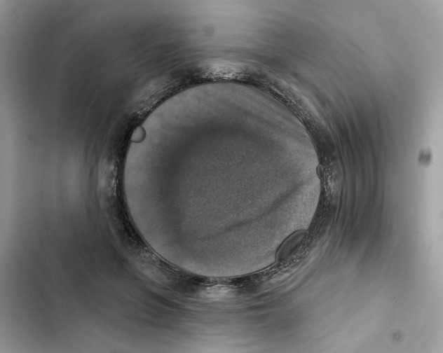X0000101970551200808151340