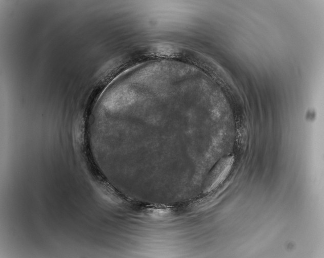 X0000101970552200808151340