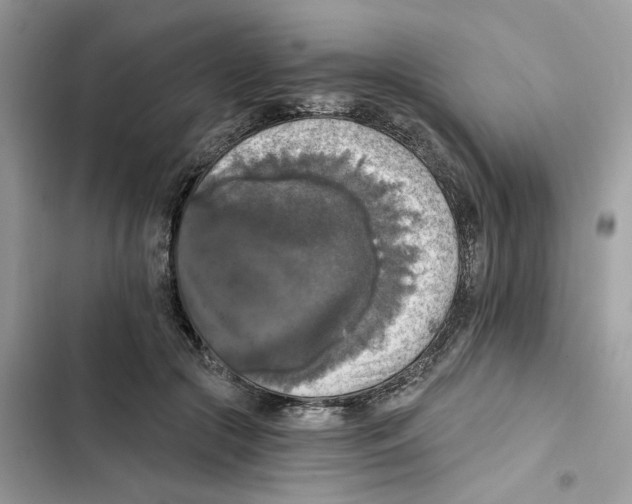 X0000101970553200808151340