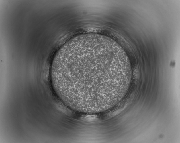 X0000101970554200808151340
