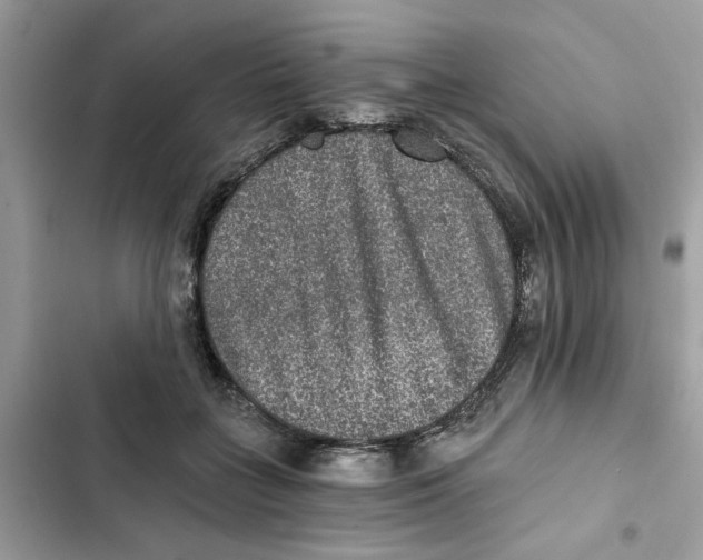 X0000101970555200808151340