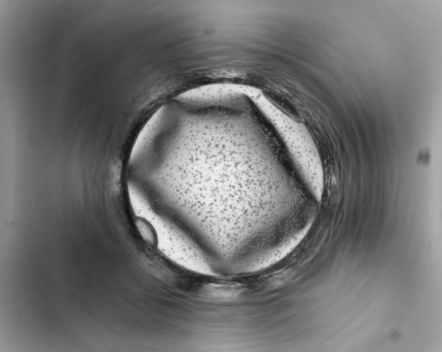 X0000101970556200808151340