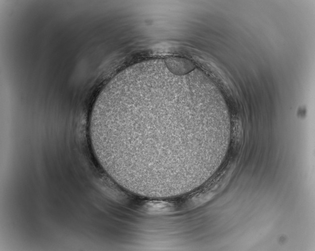 X0000101970557200808151340