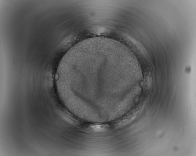 X0000101970558200808151340