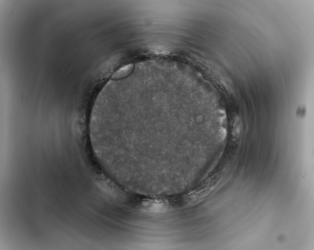 X0000101970559200808151340