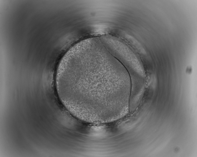 X0000101970560200808151340